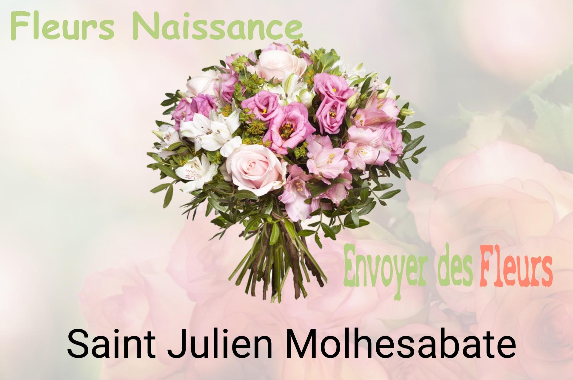 Bouquet de fleurs de naissance livré à Saint-Julien-Molhesabate